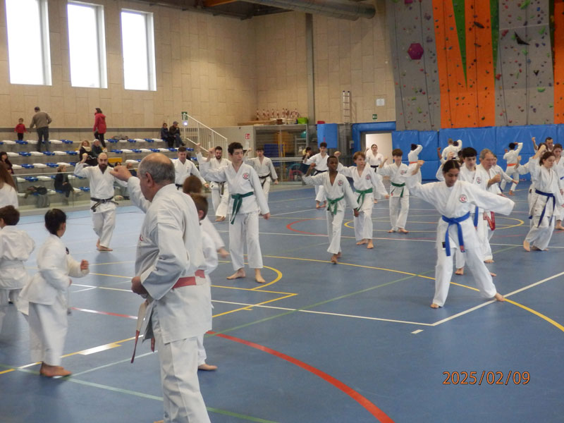 karate